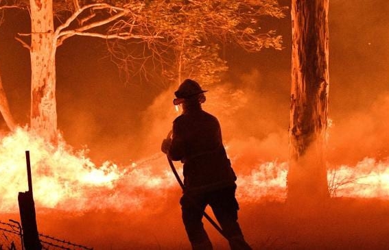 Cháy rừng ở Australia phơi bày sự thật phũ phàng