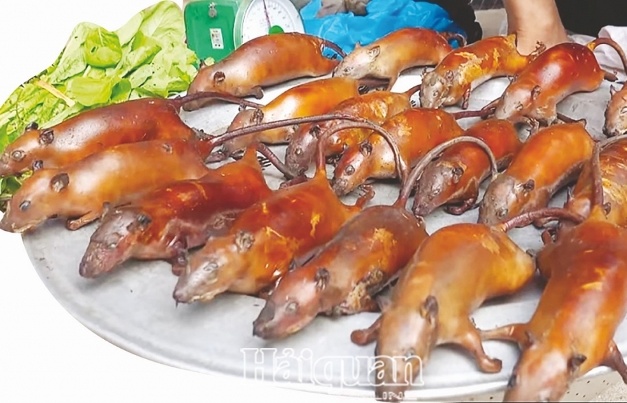 Về Canh  Nậu thưởng thức món “Ngựa phi trên sàng”