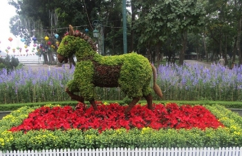 Độc đáo 12 con giáp bằng cây hoa nghệ thuật trong công viên Thống Nhất
