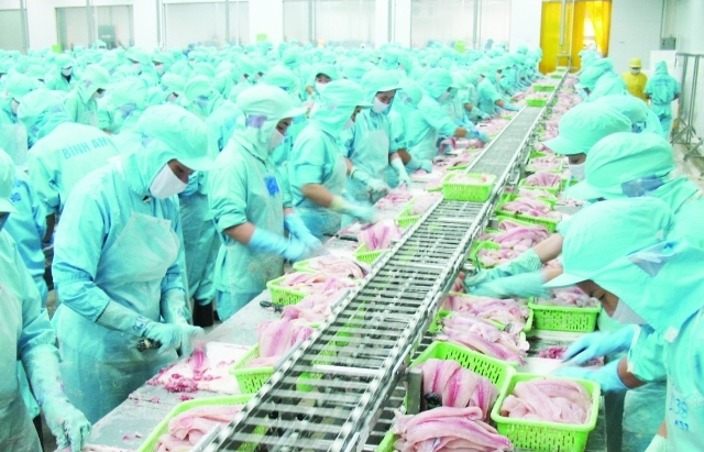 Việt Nam đang đi đúng hướng để gỡ cảnh báo “thẻ vàng”