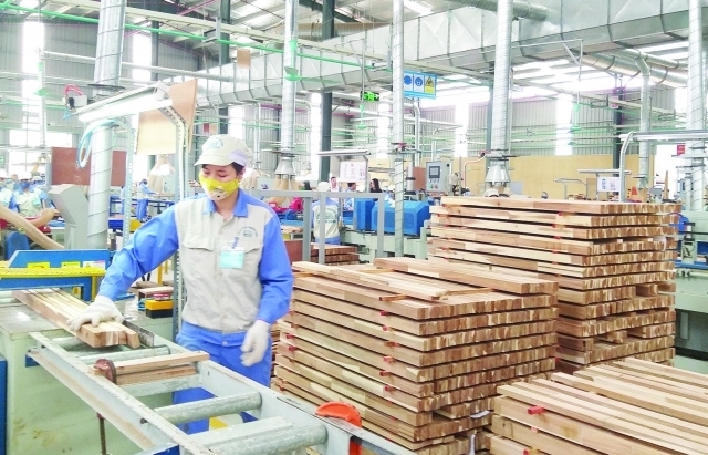 Đã có quy định gỗ hợp pháp, gỗ Việt "thẳng tiến" vào EU