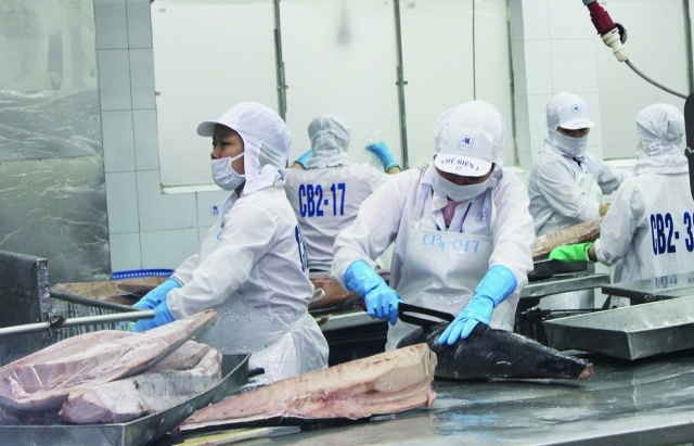 Xuất khẩu cá ngừ 9 tháng tăng hơn 9%