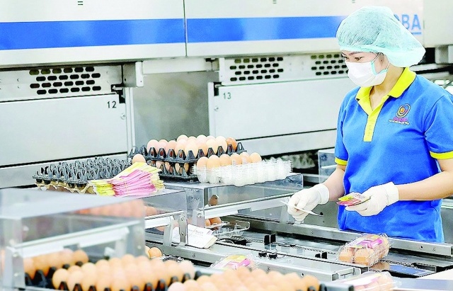Hồng Kông (Trung Quốc) mở cửa trở lại với trứng gia cầm Việt Nam