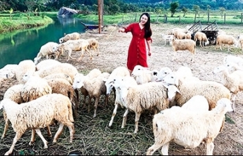Đồng cừu Suối Tiên: Thêm điểm du lịch ở Cam Ranh