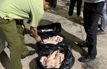 Bình Phước: Bắt giữ hơn 300 kg thịt gia cầm không đảm bảo an toàn thực phẩm