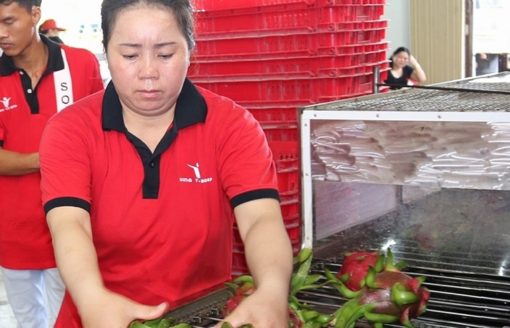 Podcast Hải quan Online tổng hợp tuần 3 tháng 3/2023 (từ ngày 13/3/2023 đến 19/3/2023)
