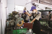 tphcm co gan 11000 doanh nghiep thanh lap moi