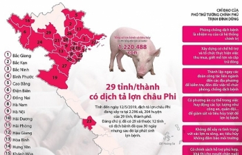 [Infographics] 29 tỉnh, thành phố có dịch tả lợn châu Phi