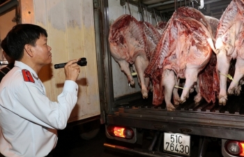 TP Hồ Chí Minh tập trung toàn lực  chống Dịch tả lợn châu Phi