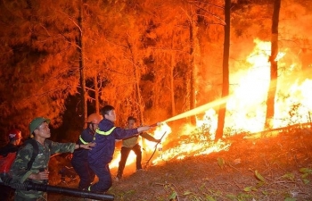Cháy rừng khủng khiếp tại Nghệ An - Hà Tĩnh
