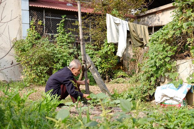 Làng Cựu – Vẻ đẹp 500 năm tuổi bị bỏ quên ngay thủ đô Hà Nội lang cuu ve dep 500 nam tuoi bi bo quen ngay thu do ha noi