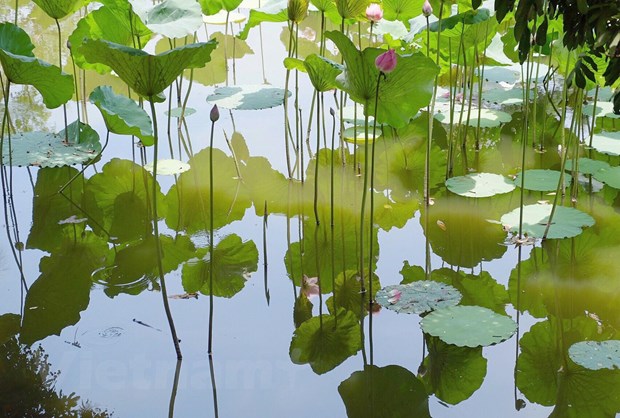 lang cuu ve dep 500 nam tuoi bi bo quen ngay thu do ha noi