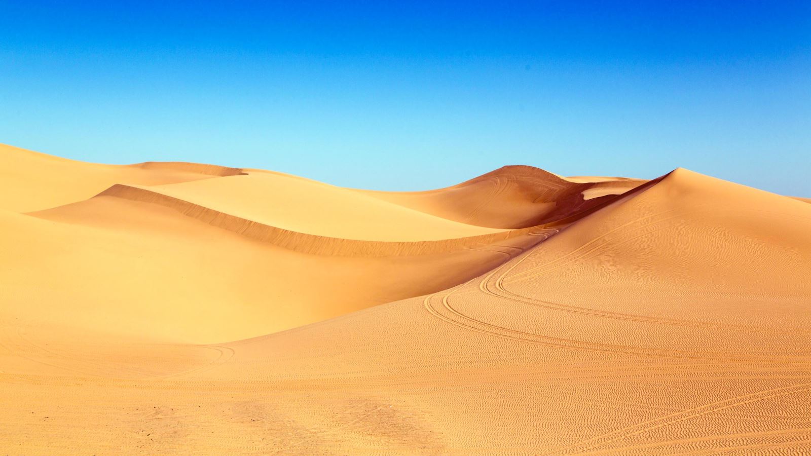 Photo Vẻ đẹp hoang sơ độc đáo của Tiểu sa mạc Sahara ở Bình Thuận  Điểm  đến  Vietnam VietnamPlus