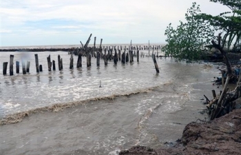 Cà Mau: Mực nước biển Tây dâng cao kỷ lục, nguy cơ vỡ đê