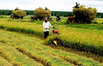 “Rộng cửa” phát triển bảo hiểm nông nghiệp