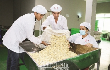 Nông sản Việt cạnh tranh với hàng EU khi thuế về 0%
