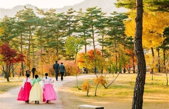 Những con đường ngập tràn cảnh sắc mùa thu ở Seoul