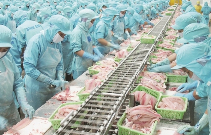 Trung Quốc nâng hàng rào thương mại, xuất khẩu cá tra gặp khó