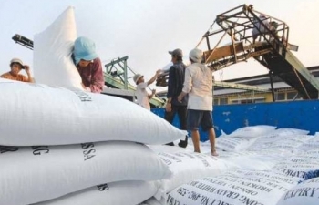 Thua Thái Lan, kém Ấn Độ, giá gạo Việt thấp nhất gần 12 năm