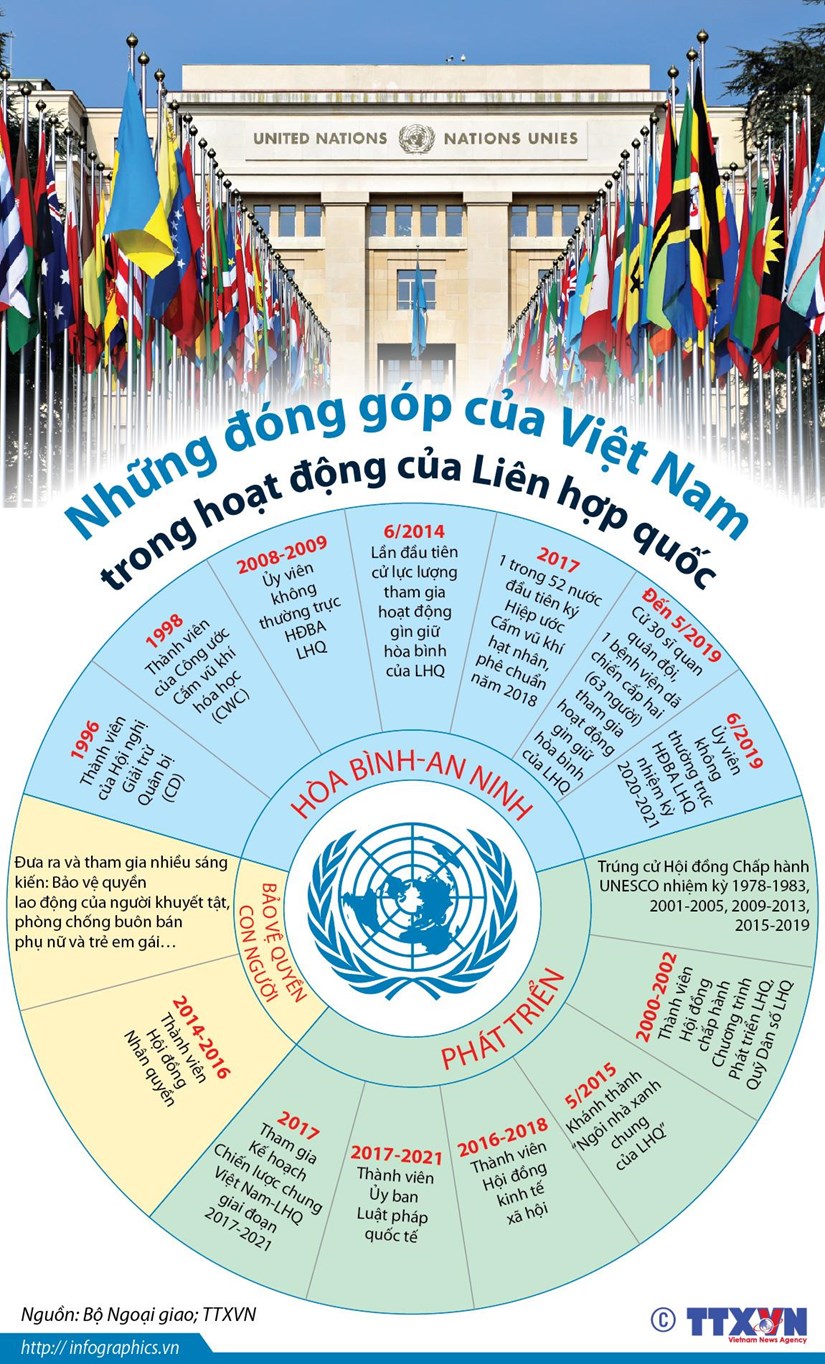 infographics nhung dong gop cua viet nam trong hoat dong cua lien hop quoc