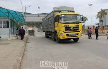 Cần tạo điều kiện cho dược liệu nhập khẩu qua cửa khẩu Chi Ma để ngăn ngừa buôn lậu