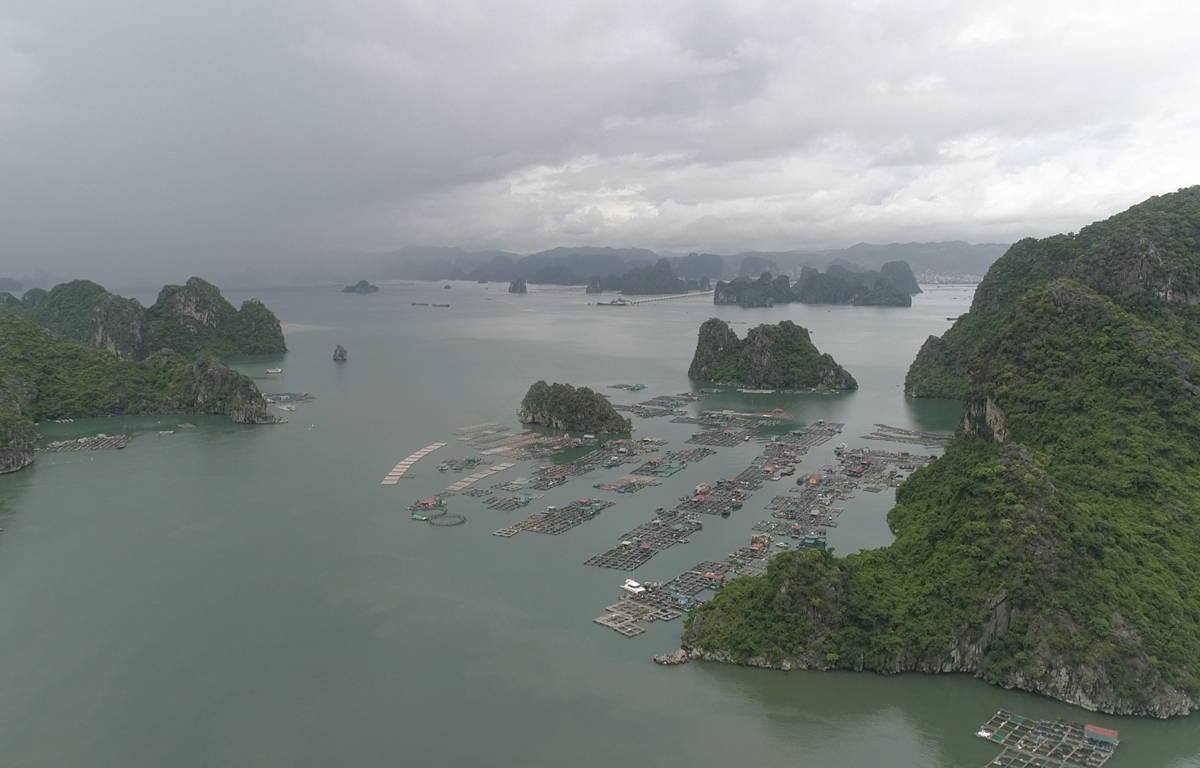 Toàn cảnh làng chài trên vịnh Bái Tử Long. (Ảnh: Lâm Phan/Vietnam+)