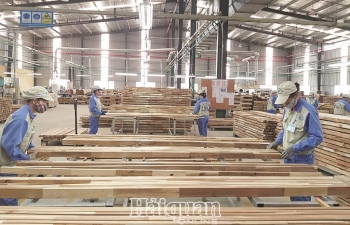 FDI vào ngành gỗ tăng nhanh:  Nơm nớp lo đầu tư “núp bóng”