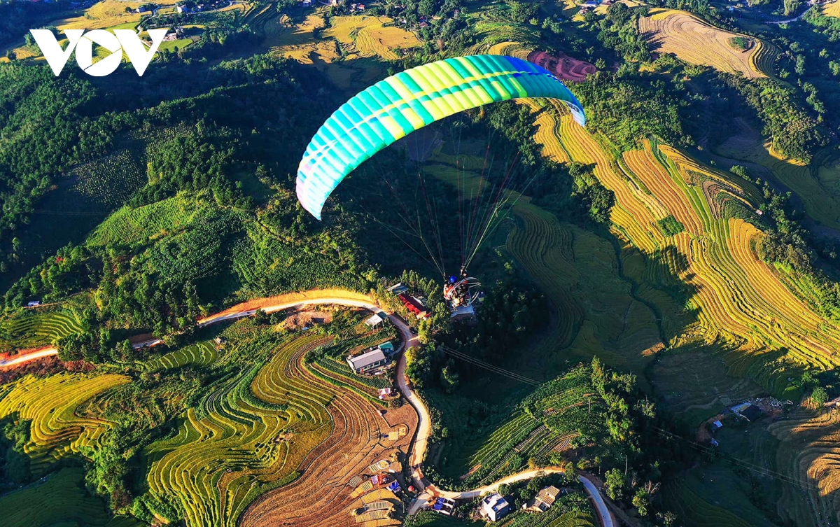 Mùa vàng rực rỡ trên rẻo cao Bình Liêu