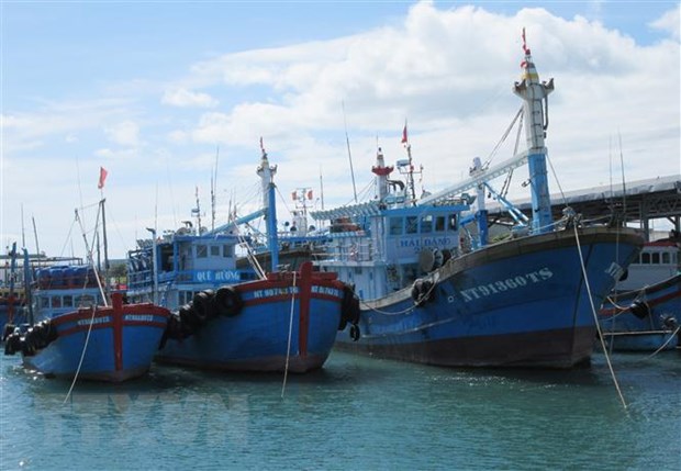 Đảm bảo an toàn tàu thuyền trước diễn biến của áp thấp nhiệt đới | Môi trường | Vietnam+ (VietnamPlus)