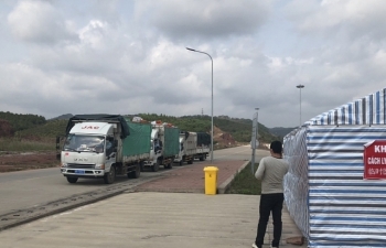 Quảng Ninh: Lưu lượng hàng hóa xuất nhập khẩu giảm mạnh