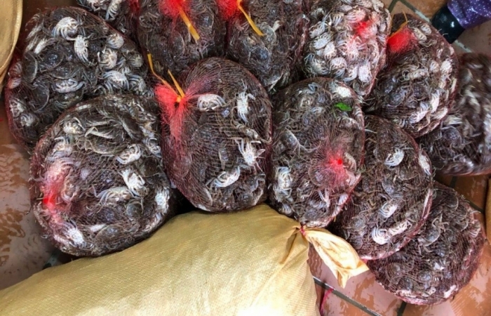 Hải quan Quảng Ninh bắt giữ 110 kg thực phẩm tươi sống nhập lậu