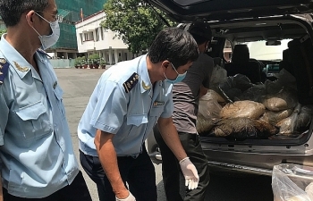 Phó Thủ tướng gửi thư khen lực lượng tham gia phá án hơn 500 kg ma túy