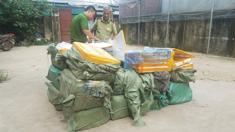 ha noi tang cuong cong tac chong buon lau