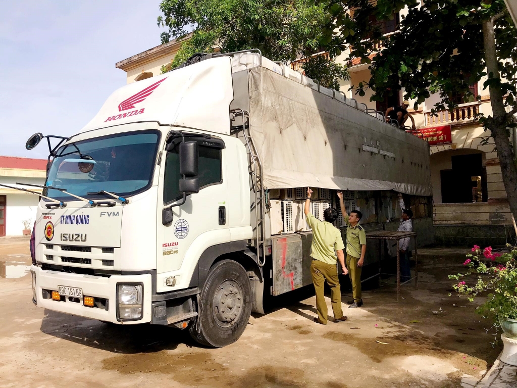 Tạm giữ lô máy lạnh cũ nhập lậu trị giá nửa tỷ đồng