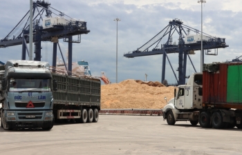 Quảng Ninh: Kim ngạch xuất nhập khẩu tăng 14% trong quý III