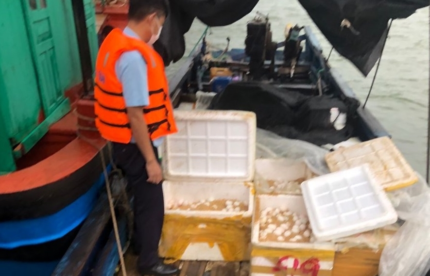 Hải quan Vạn Gia bắt giữ 13.000 quả trứng gia cầm nhập lậu
