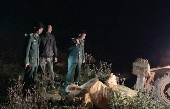 Quảng Ninh: Phát hiện xe tải vận chuyển trái phép nửa tấn thịt lợn sang Trung Quốc