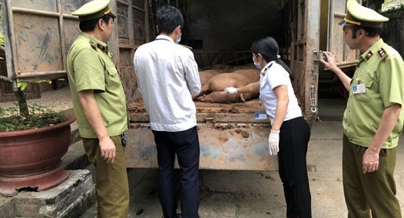 khong co tinh trang xuat lau lon sang trung quoc