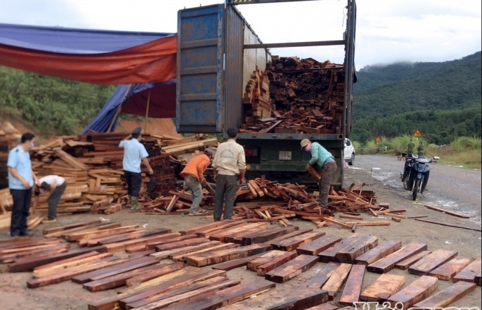 Xem xét khởi tố vụ nhập lậu gỗ qua cửa khẩu quốc tế La Lay