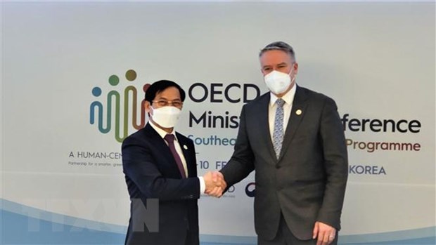 Viet Nam dam nhan vai tro dong Chu tich Chuong trinh SEARP cua OECD hinh anh 3
