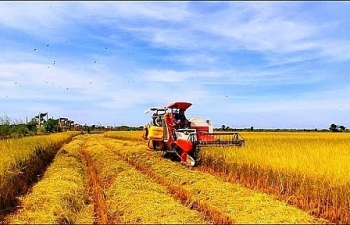 Ngành nông nghiệp, lâm nghiệp và thuỷ sản đứng đầu danh sách hỗ trợ của Bộ Tài chính