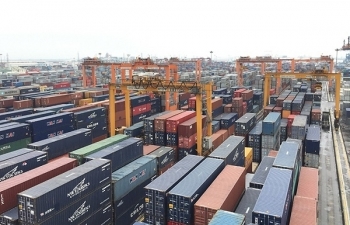 Hàng nghìn container phế liệu tồn bãi đã được thông quan