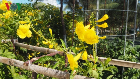 44 nam giai phong truong sa kieu bao tham dao va nghi ve trach nhiem