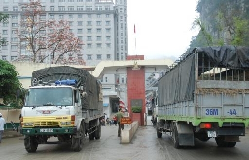 Nghiên cứu cấp “hộ chiếu vaccine” cho lái xe chở nông sản qua biên giới Việt- Trung
