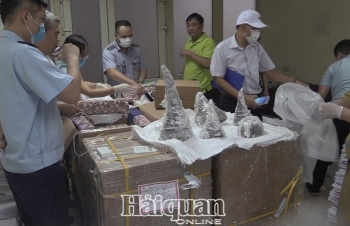 Tạm giữ 125,15 kg sừng tê giác vận chuyển về sân bay quốc tế Nội Bài