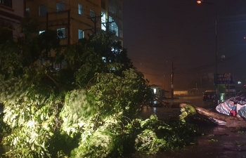 Ảnh: Bão số 3 quật đổ cây xanh, đường phố Quảng Ninh ngập gần nửa mét