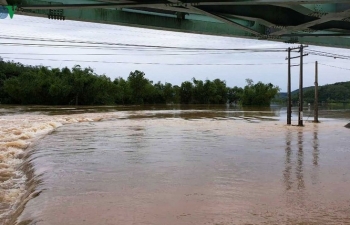 Bão số 5 đổ bộ vào Nam Trung Bộ: Cây xanh ngã đổ, nhiều nơi mất điện