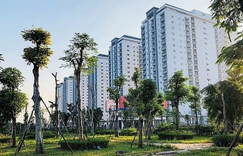 Doanh nghiệp bất động sản Việt đối diện thách thức gì trong năm 2019?