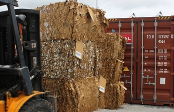 Phế liệu tồn đọng đã giảm khoảng 17.500 container so với năm 2018