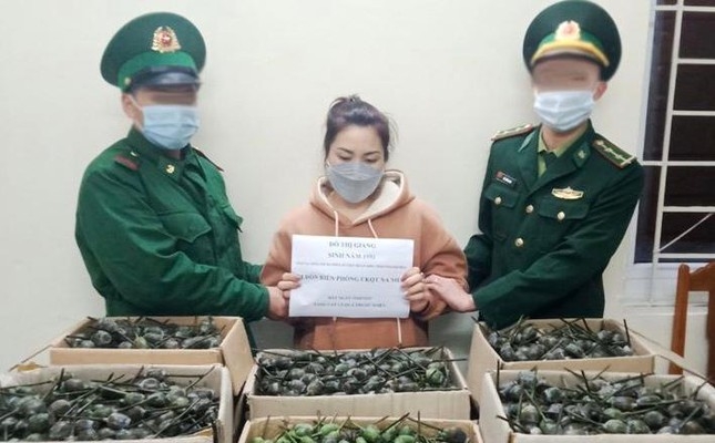 Đối tượng bị bắt giữ cùng tang vật. Ảnh: Bộ đội biên phòng tỉnh Thanh Hoá
